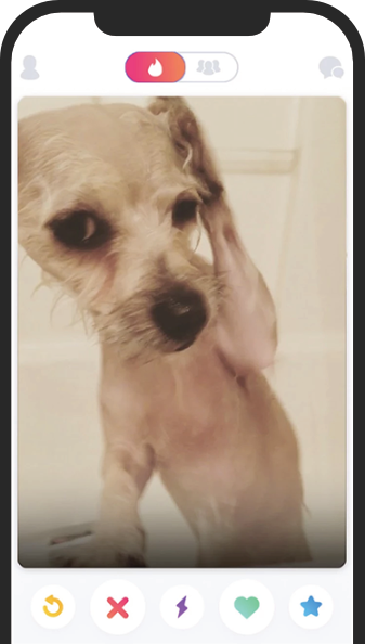 image of TinDog application on iPhone